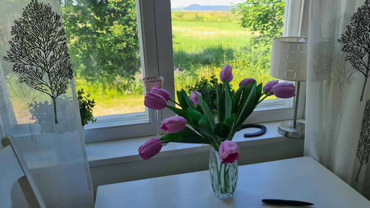 Symaskinshuset Jaervsoe المظهر الخارجي الصورة